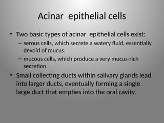Salivary glands and saliva saliva saliva a | PPT