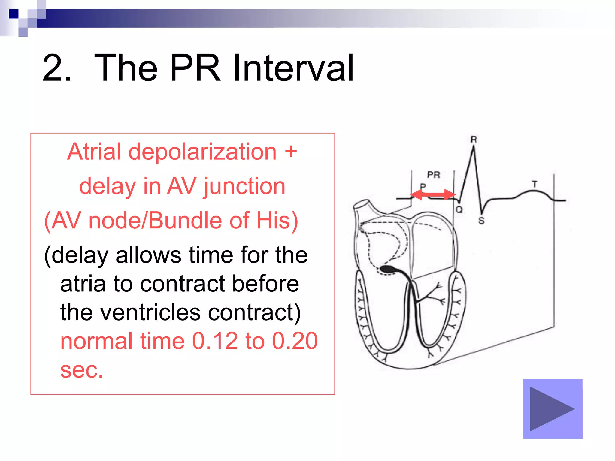 2. The PR Interval
Atrial depolarization +
delay in AV junction
(AV node/Bundle of His)
(delay allows time for the
atria to contract before
the ventricles contract)
normal time 0.12 to 0.20
sec.
 