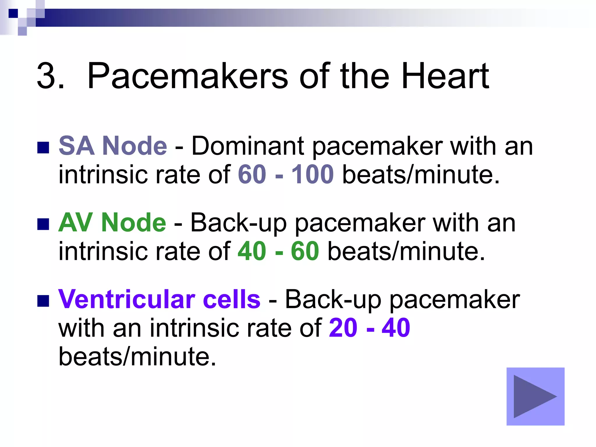 3. Pacemakers of the Heart
 SA Node - Dominant pacemaker with an
intrinsic rate of 60 - 100 beats/minute.
 AV Node - Back-up pacemaker with an
intrinsic rate of 40 - 60 beats/minute.
 Ventricular cells - Back-up pacemaker
with an intrinsic rate of 20 - 40
beats/minute.
 