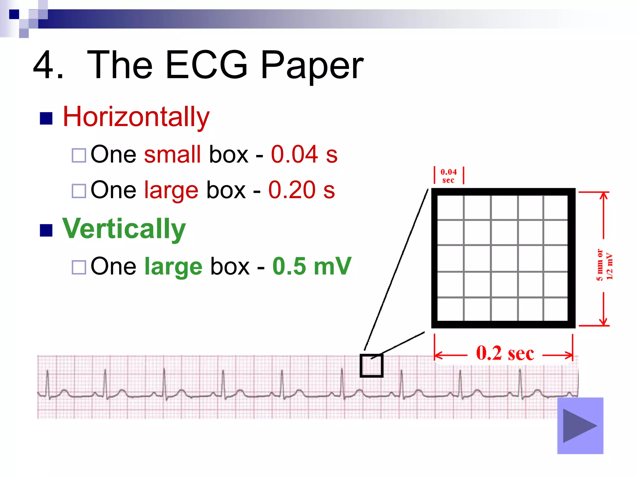 4. The ECG Paper
 Horizontally
One small box - 0.04 s
One large box - 0.20 s
 Vertically
One large box - 0.5 mV
 