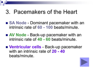 ECG basics ppt | PPT