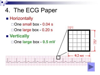 ECG basics ppt | PPT