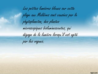 Les petites lumières bleues sur cette
plage aux Maldives sont causées par le
phytoplancton, des plantes
microscopiques bioluminescentes, qui
dégage de la lumière lorsqu’il est agité
par les vagues.
 