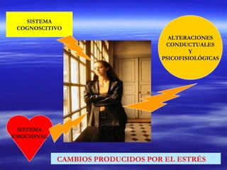 SISTEMA
COGNOSCITIVO
SISTEMA
EMOCIONAL
ALTERACIONES
CONDUCTUALES
Y
PSICOFISIOLÓGICAS
CAMBIOS PRODUCIDOS POR EL ESTRÉS
 