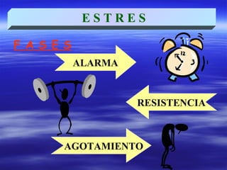 F A S E S
ALARMA
RESISTENCIA
AGOTAMIENTO
E S T R E S
 