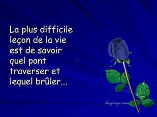 La plus difficile
leçon de la vie
est de savoir
quel pont
traverser et
lequel brûler...

 