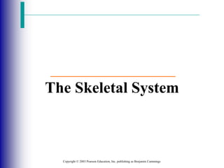 Copyright © 2003 Pearson Education, Inc. publishing as Benjamin Cummings
The Skeletal System
 