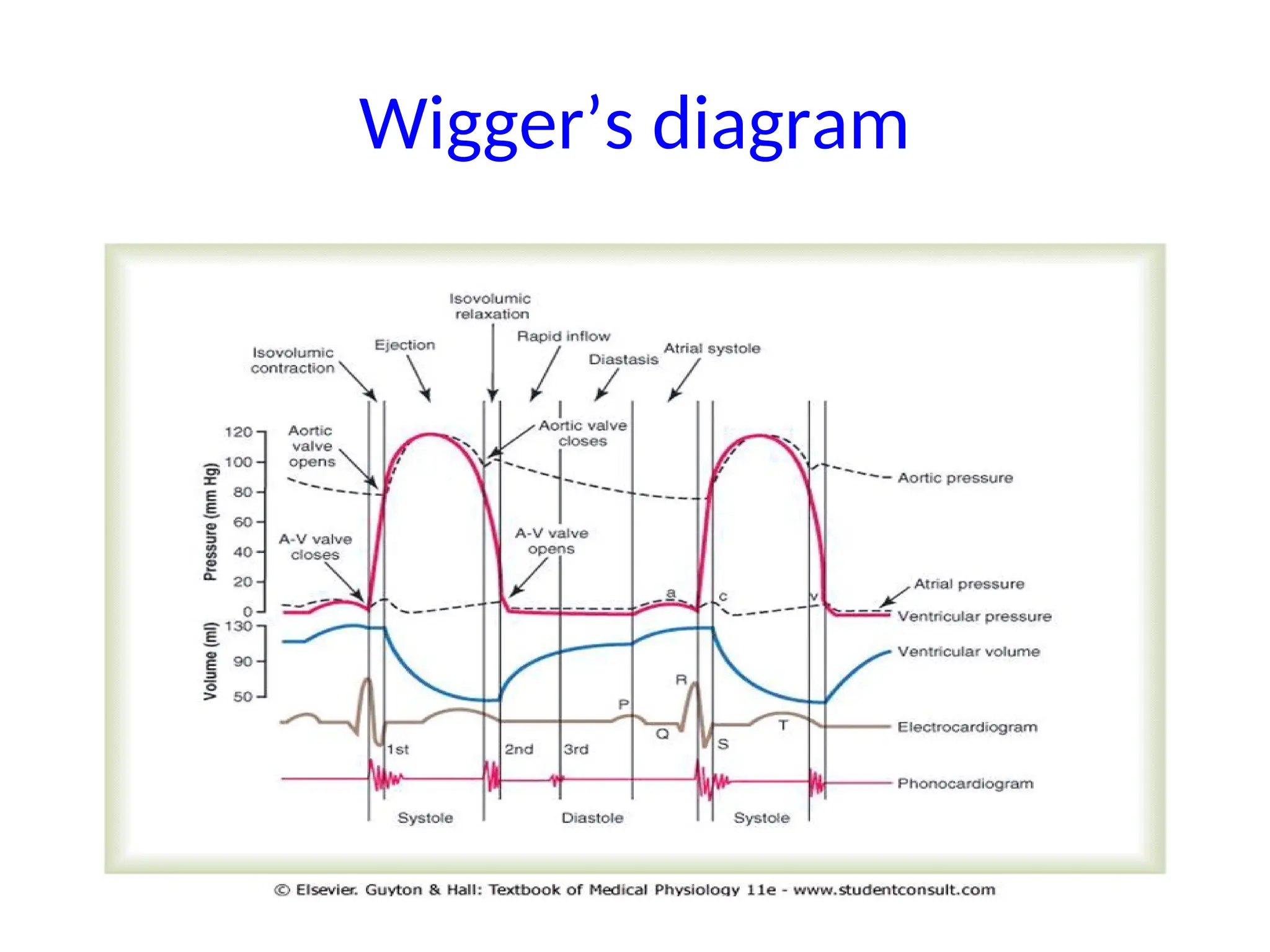 Cardiac cycle Pumping of blood across the atrio ventricular systems PPT
