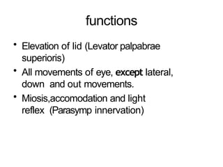 Comprehensive Anatomy and Function of Cranial Nerves III, IV, and VI | PPTX