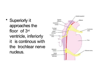 Comprehensive Anatomy and Function of Cranial Nerves III, IV, and VI | PPTX