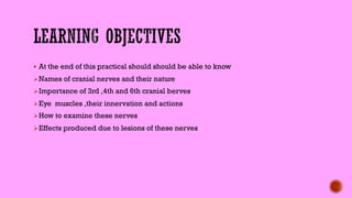 § At the end of this practical should should be able to know
ØNames of cranial nerves and their nature
ØImportance of 3rd ,4th and 6th cranial berves
ØEye muscles ,their innervation and actions
ØHow to examine these nerves
ØEffects produced due to lesions of these nerves
 