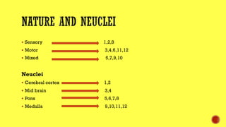 § Sensory 1,2,8
§ Motor 3,4,6,11,12
§ Mixed 5,7,9,10
Neuclei
§ Cerebral cortex 1,2
§ Mid brain 3,4
§ Pons 5,6,7,8
§ Medulla 9,10,11,12
 