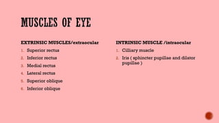 EXTRINSIC MUSCLES/extraocular
1. Superior rectus
2. Inferior rectus
3. Medial rectus
4. Lateral rectus
5. Superior oblique
6. Inferior oblique
INTRINSIC MUSCLE /intraocular
1. Cilliary muscle
2. Iris ( sphincter pupillae and dilator
pupillae )
 