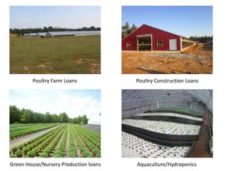 Poultry Farm Loans
Green House/Nursery Production loans Aquaculture/Hydroponics
Poultry Construction Loans