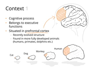 Context 1
• Cognitive process
• Belongs to executive
functions
• Situated in prefrontal cortex
– Recently evolved structure
– Found in more fully developed animals
(humans, primates, dolphins etc.)
Cat
Dog
Monkey
Human
 