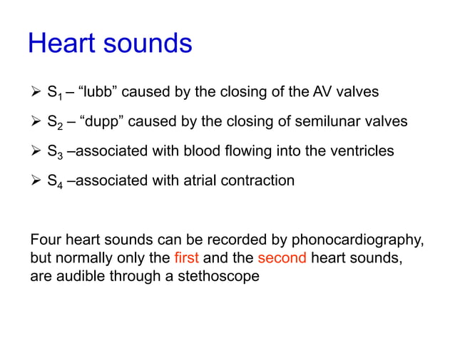 347_heart_sounds_&_murmurs.ppt