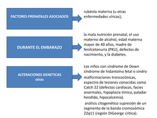 rubéola materna (u otras
enfermedades víricas),
la mala nutrición prenatal, el uso
materno de alcohol, edad materna
mayor de 40 años, madre de
fenilcetonuria (PKU), defectos de
nacimiento, y la diabetes.
Los niños con síndrome de Down
síndrome de hidantoína fetal o síndro
malformaciones troncocónicas,
espectro de lesiones conocidas como
Catch 22 (defectos cardíacos, facies
anormales, hipoplasia tímica, paladar
hendido, hipocalcemia).
análisis citogenético supresión de un
segmento de la banda cromosómica
22q11 (región DiGeorge crítica).
FACTORES PRENATALES ASOCIADOS
DURANTE EL EMBARAZO
ALTERACIONES GENETICAS
otras
 