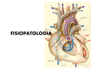 FISIOPATOLOGIA
 