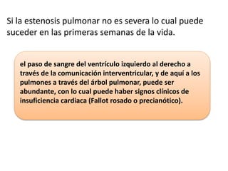 Si la estenosis pulmonar no es severa lo cual puede
suceder en las primeras semanas de la vida.
el paso de sangre del ventrículo izquierdo al derecho a
través de la comunicación interventricular, y de aquí a los
pulmones a través del árbol pulmonar, puede ser
abundante, con lo cual puede haber signos clínicos de
insuficiencia cardiaca (Fallot rosado o precianótico).
 