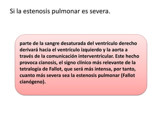 Si la estenosis pulmonar es severa.
parte de la sangre desaturada del ventrículo derecho
derivará hacia el ventrículo izquierdo y la aorta a
través de la comunicación interventricular. Este hecho
provoca cianosis, el signo clínico más relevante de la
tetralogía de Fallot, que será más intensa, por tanto,
cuanto más severa sea la estenosis pulmonar (Fallot
cianógeno).
 