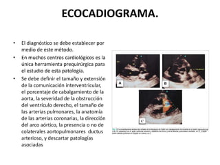 ECOCADIOGRAMA.
• El diagnóstico se debe establecer por
medio de este método.
• En muchos centros cardiológicos es la
única herramienta prequirúrgica para
el estudio de esta patología.
• Se debe definir el tamaño y extensión
de la comunicación interventricular,
el porcentaje de cabalgamiento de la
aorta, la severidad de la obstrucción
del ventrículo derecho, el tamaño de
las arterias pulmonares, la anatomía
de las arterias coronarias, la dirección
del arco aórtico, la presencia o no de
colaterales aortopulmonares ductus
arterioso, y descartar patologías
asociadas
 
