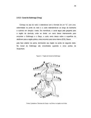 36 
2.12.3 - Canal do Estômago (Yang) 
Começa na asa do nariz e estende-se com o formato de um “U”, com uma 
extremidade na ponte do nariz e a outra estendendo-se ao longo da bochecha 
e subindo em direção à testa. Da mandíbula, o canal segue pela garganta para 
a região da clavícula, onde se divide: um ramo desce internamente para 
encontrar o Estômago e o Baço, o outro ramo desce sobre a superfície do 
abdômen para a região púbica, onde encontra outro ramo interno (E30). Desce 
pela face anterior da perna, terminando seu trajeto na ponta do segundo dedo. 
No Canal do Estômago são encontrados quarenta e cinco pontos de 
Acupuntura. 
Figura 3 – Trajeto do Canal do Estômago 
Fonte: Cuidados e Técnicas do Corpo – na China, no Japão e na Índia 
 