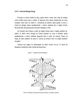 40 
2.12.7 - Canal da Bexiga (Yang) 
Começa no canto medial do olho, passa sobre a testa até o alto da cabeça 
onde ramifica para tocar a orelha. O segundo ramo desce diretamente ao osso 
occipital, onde entra no crânio e conecta-se ao cérebro. Após passar a nuca, o 
Canal da Bexiga desce paralelamente à coluna vertebral até a região lombar. 
No ponto B23, ele penetra para encontrar a Bexiga e o Rim. 
Um terceiro ramo desce a partir da região lombar para a região posterior do 
joelho. O último ramo diverge do Canal principal na nuca e também segue 
paralelamente à coluna vertebral (segunda linha a partir da coluna). Passa ao 
longo do lado posterior da perna e une-se ao terceiro ramo na região posterior 
do joelho. 
Termina seu trajeto na extremidade do dedo mínimo do pé. O Canal da 
Bexiga tem sessenta e sete pontos de Acupuntura. 
Figura 7 – Trajeto do Canal da Bexiga 
Fonte: Cuidados e Técnicas do Corpo na China, no Japão e na Índia 
 