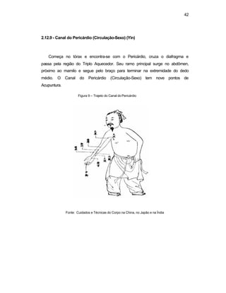 42 
2.12.9 - Canal do Pericárdio (Circulação-Sexo) (Yin) 
Começa no tórax e encontra-se com o Pericárdio, cruza o diafragma e 
passa pela região do Triplo Aquecedor. Seu ramo principal surge no abdômen, 
próximo ao mamilo e segue pelo braço para terminar na extremidade do dedo 
médio. O Canal do Pericárdio (Circulação-Sexo) tem nove pontos de 
Acupuntura. 
Figura 9 – Trajeto do Canal do Pericárdio 
Fonte: Cuidados e Técnicas do Corpo na China, no Japão e na Índia 
 