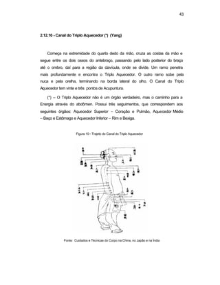 43 
2.12.10 - Canal do Triplo Aquecedor (*) (Yang) 
Começa na extremidade do quarto dedo da mão, cruza as costas da mão e 
segue entre os dois ossos do antebraço, passando pelo lado posterior do braço 
até o ombro, daí para a região da clavícula, onde se divide. Um ramo penetra 
mais profundamente e encontra o Triplo Aquecedor. O outro ramo sobe pela 
nuca e pela orelha, terminando na borda lateral do olho. O Canal do Triplo 
Aquecedor tem vinte e três pontos de Acupuntura. 
(*) – O Triplo Aquecedor não é um órgão verdadeiro, mas o caminho para a 
Energia através do abdômen. Possui três seguimentos, que correspondem aos 
seguintes órgãos: Aquecedor Superior – Coração e Pulmão, Aquecedor Médio 
– Baço e Estômago e Aquecedor Inferior – Rim e Bexiga. 
Figura 10– Trajeto do Canal do Triplo Aquecedor 
Fonte: Cuidados e Técnicas do Corpo na China, no Japão e na Índia 
 