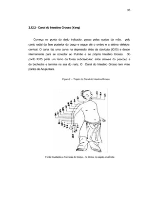 35
2.12.2 - Canal do Intestino Grosso (Yang)
Começa na ponta do dedo indicador, passa pelas costas da mão, pelo
canto radial da face posterior do braço e segue até o ombro e a sétima vértebra
cervical. O canal faz uma curva na depressão atrás da clavícula (IG15) e desce
internamente para se conectar ao Pulmão e ao próprio Intestino Grosso. Do
ponto IG15 parte um ramo da fossa subclavicular, sobe através do pescoço e
da bochecha e termina na asa do nariz. O Canal do Intestino Grosso tem vinte
pontos de Acupuntura.
Figura 2 - Trajeto do Canal do Intestino Grosso
Fonte: Cuidados e Técnicas do Corpo – na China, no Japão e na Índia
 