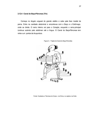 37
2.12.4 - Canal do Baço-Pâncreas (Yin)
Começa no ângulo ungueal do grande artelho e sobe pela face medial da
perna. Entra na cavidade abdominal e encontra-se com o Baço e o Estômago,
onde se divide. O ramo interno vai para o Coração, enquanto o ramo principal
continua subindo pelo abdômen até a língua. O Canal do Baço-Pâncreas tem
vinte e um pontos de Acupuntura.
Figura 4 – Trajeto do Canal do Baço-Pancrêas
Fonte: Cuidados e Técnicas do Corpo – na China, no Japão e na Índia
 
