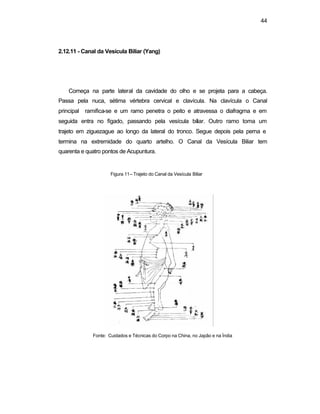 44
2.12.11 - Canal da Vesícula Biliar (Yang)
Começa na parte lateral da cavidade do olho e se projeta para a cabeça.
Passa pela nuca, sétima vértebra cervical e clavícula. Na clavícula o Canal
principal ramifica-se e um ramo penetra o peito e atravessa o diafragma e em
seguida entra no fígado, passando pela vesícula biliar. Outro ramo toma um
trajeto em ziguezague ao longo da lateral do tronco. Segue depois pela perna e
termina na extremidade do quarto artelho. O Canal da Vesícula Biliar tem
quarenta e quatro pontos de Acupuntura.
Figura 11– Trajeto do Canal da Vesícula Biliar
Fonte: Cuidados e Técnicas do Corpo na China, no Japão e na Índia
 