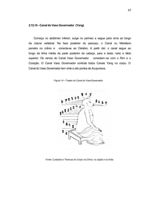 47
2.12.14 - Canal do Vaso Governador (Yang)
Começa no abdômen inferior, surge no períneo e segue para cima ao longo
da coluna vertebral. Na face posterior do pescoço, o Canal ou Meridiano
penetra no crânio e conecta-se ao Cérebro. A partir daí, o canal segue ao
longo da linha média da parte posterior da cabeça, para a testa, nariz e lábio
superior. Os ramos do Canal Vaso Governador conectam-se com o Rim e o
Coração. O Canal Vaso Governador controla todos Canais Yang no corpo. O
Canal do Vaso Governador tem vinte e oito pontos de Acupuntura.
Figura 14 – Trajeto do Canal do Vaso-Governador
Fonte: Cuidados e Técnicas do Corpo na China, no Japão e na Índia
 