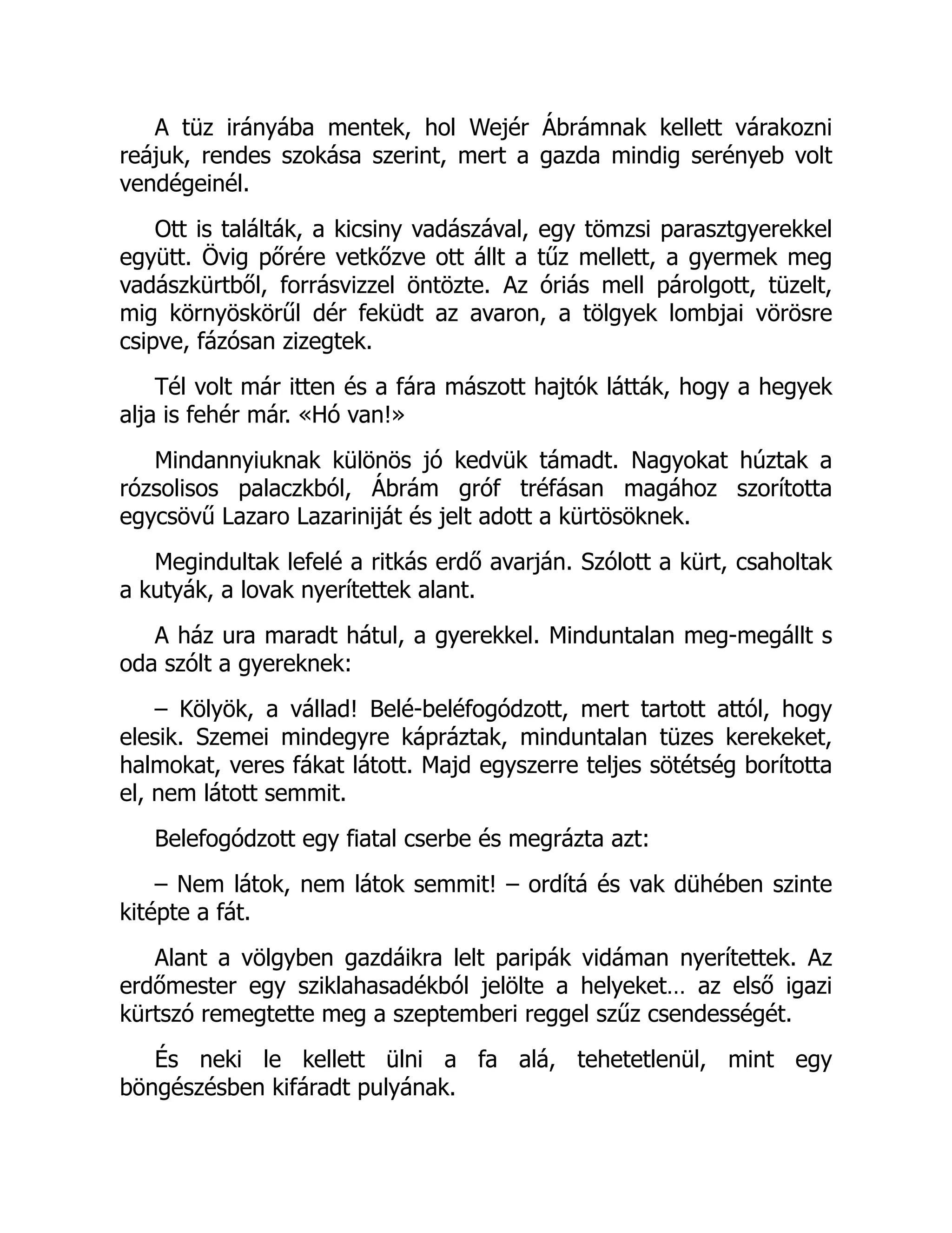A tüz irányába mentek, hol Wejér Ábrámnak kellett várakozni
reájuk, rendes szokása szerint, mert a gazda mindig serényeb volt
vendégeinél.
Ott is találták, a kicsiny vadászával, egy tömzsi parasztgyerekkel
együtt. Övig pőrére vetkőzve ott állt a tűz mellett, a gyermek meg
vadászkürtből, forrásvizzel öntözte. Az óriás mell párolgott, tüzelt,
mig környöskörűl dér feküdt az avaron, a tölgyek lombjai vörösre
csipve, fázósan zizegtek.
Tél volt már itten és a fára mászott hajtók látták, hogy a hegyek
alja is fehér már. «Hó van!»
Mindannyiuknak különös jó kedvük támadt. Nagyokat húztak a
rózsolisos palaczkból, Ábrám gróf tréfásan magához szorította
egycsövű Lazaro Lazariniját és jelt adott a kürtösöknek.
Megindultak lefelé a ritkás erdő avarján. Szólott a kürt, csaholtak
a kutyák, a lovak nyerítettek alant.
A ház ura maradt hátul, a gyerekkel. Minduntalan meg-megállt s
oda szólt a gyereknek:
– Kölyök, a vállad! Belé-beléfogódzott, mert tartott attól, hogy
elesik. Szemei mindegyre kápráztak, minduntalan tüzes kerekeket,
halmokat, veres fákat látott. Majd egyszerre teljes sötétség borította
el, nem látott semmit.
Belefogódzott egy fiatal cserbe és megrázta azt:
– Nem látok, nem látok semmit! – ordítá és vak dühében szinte
kitépte a fát.
Alant a völgyben gazdáikra lelt paripák vidáman nyerítettek. Az
erdőmester egy sziklahasadékból jelölte a helyeket… az első igazi
kürtszó remegtette meg a szeptemberi reggel szűz csendességét.
És neki le kellett ülni a fa alá, tehetetlenül, mint egy
böngészésben kifáradt pulyának.
 