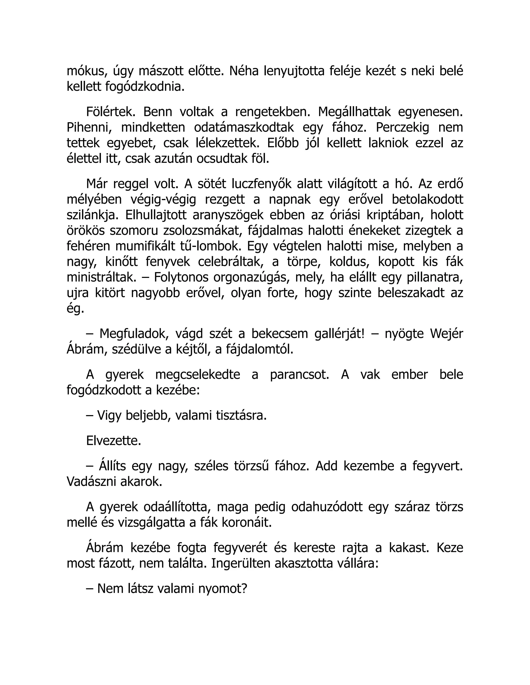 mókus, úgy mászott előtte. Néha lenyujtotta feléje kezét s neki belé
kellett fogódzkodnia.
Fölértek. Benn voltak a rengetekben. Megállhattak egyenesen.
Pihenni, mindketten odatámaszkodtak egy fához. Perczekig nem
tettek egyebet, csak lélekzettek. Előbb jól kellett lakniok ezzel az
élettel itt, csak azután ocsudtak föl.
Már reggel volt. A sötét luczfenyők alatt világított a hó. Az erdő
mélyében végig-végig rezgett a napnak egy erővel betolakodott
szilánkja. Elhullajtott aranyszögek ebben az óriási kriptában, holott
örökös szomoru zsolozsmákat, fájdalmas halotti énekeket zizegtek a
fehéren mumifikált tű-lombok. Egy végtelen halotti mise, melyben a
nagy, kinőtt fenyvek celebráltak, a törpe, koldus, kopott kis fák
ministráltak. – Folytonos orgonazúgás, mely, ha elállt egy pillanatra,
ujra kitört nagyobb erővel, olyan forte, hogy szinte beleszakadt az
ég.
– Megfuladok, vágd szét a bekecsem gallérját! – nyögte Wejér
Ábrám, szédülve a kéjtől, a fájdalomtól.
A gyerek megcselekedte a parancsot. A vak ember bele
fogódzkodott a kezébe:
– Vigy beljebb, valami tisztásra.
Elvezette.
– Állíts egy nagy, széles törzsű fához. Add kezembe a fegyvert.
Vadászni akarok.
A gyerek odaállította, maga pedig odahuzódott egy száraz törzs
mellé és vizsgálgatta a fák koronáit.
Ábrám kezébe fogta fegyverét és kereste rajta a kakast. Keze
most fázott, nem találta. Ingerülten akasztotta vállára:
– Nem látsz valami nyomot?
 