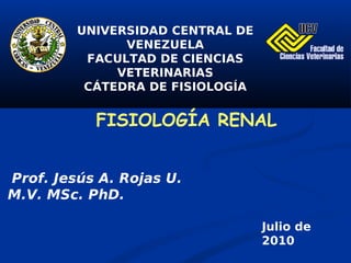 UNIVERSIDAD CENTRAL DE
               VENEZUELA
          FACULTAD DE CIENCIAS
              VETERINARIAS
          CÁTEDRA DE FISIOLOGÍA


           FISIOLOGÍA RENAL


Prof. Jesús A. Rojas U.
M.V. MSc. PhD.

                                  Julio de
                                  2010
 
