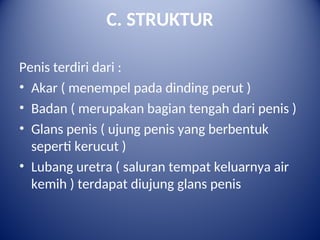 349580222-anatomi-organ-reproduksi-pria-ppt-1-ppt