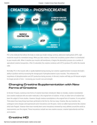 Creactor – Creatine Comes Clean _ MuscleTech | PDF