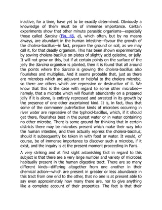 inactive, for a time, have yet to be exactly determined. Obviously a
knowledge of them must be of immense importance. Certain
experiments show that other minute parasitic organisms—especially
those called Sarcina (Fig. 46, e), which often, but by no means
always, are abundant in the human intestine—favour the growth of
the cholera-bacillus—in fact, prepare the ground or soil, as we may
call it, for that deadly organism. This has been shown experimentally
by sowing cholera-bacillus on plates of slightly acid gelatine, or jelly.
It will not grow on this, but if at certain points on the surface of the
jelly the Sarcina organism is planted, then it is found that all around
the points where the Sarcina is growing the cholera-bacillus also
flourishes and multiplies. And it seems probable that, just as there
are microbes which are adjuvant or helpful to the cholera microbe,
so there are others which are repressive or destructive of it. We
know that this is the case with regard to some other microbes—
namely, that a microbe which will flourish abundantly on a prepared
jelly if it is alone, is entirely repressed and arrested in its growth by
the presence of one other ascertained kind. It is, in fact, thus that
some of the commoner putrefactive kinds of microbes occurring in
river water are repressive of the typhoid-bacillus, which, if it should
get there, flourishes best in the purest water or in water containing
no other microbe. There is some ground for thinking that in certain
districts there may be microbes present which make their way into
the human intestine, and then actually repress the cholera-bacillus,
should it subsequently be taken in with food or water. It would, of
course, be of immense importance to discover such a microbe, if it
exist, and the inquiry is at the present moment proceeding in Paris.
A very striking and at first sight astonishing fact in regard to this
subject is that there are a very large number and variety of microbes
habitually present in the human digestive tract. There are so many
different kinds—differing altogether from one another in their
chemical action—which are present in greater or less abundance in
this tract from one end to the other, that no one is at present able to
say even approximately how many there are, nor to give anything
like a complete account of their properties. The fact is that their
 