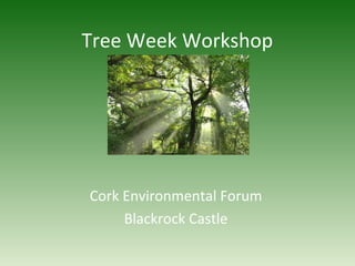 Tree Week Workshop
Cork Environmental Forum
Blackrock Castle
 