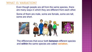 Even though people are all from the same species, there
are many ways in which they are different from each other.
Some of them are male, some are female, some are tall,
some are short.
The differences that occur both between different species
and within the same species are called variation.
 