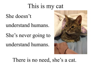 This is my cat
She doesn’t
understand humans.
She’s never going to
understand humans.
There is no need, she’s a cat.
 