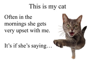 Often in the
mornings she gets
very upset with me.
It’s if she’s saying…
This is my cat
 