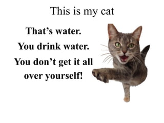 That’s water.
You drink water.
You don’t get it all
over yourself!
This is my cat
 