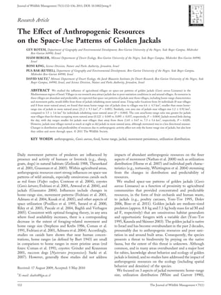 Research Article
The Effect of Anthropogenic Resources
on the Space-Use Patterns of Golden Jackals
GUY ROTEM, Department of Geography and Environmental Development, Ben-Gurion University of the Negev, Sede Boqer Campus, Midreshet
Ben-Gurion 84990, Israel
HAIM BERGER, Mitrani Department of Desert Ecology, Ben-Gurion University of the Negev, Sede Boqer Campus, Midreshet Ben-Gurion 84990,
Israel
RONI KING, Science Division, Nature and Parks Authority, Jerusalem, Israel
PUA BAR (KUTIEL), Department of Geography and Environmental Development, Ben-Gurion University of the Negev, Sede Boqer Campus,
Midreshet Ben-Gurion 84990, Israel
DAVID SALTZ,1
Mitrani Department of Desert Ecology, the Jacob Blaustein Institutes for Desert Research, Ben Gurion University of the Negev, Sede
Boqer Campus, 84990, Israel, and Science Division, Nature and Parks Authority, Jerusalem, Israel
ABSTRACT We studied the inﬂuence of agricultural villages on space-use patterns of golden jackals (Canis aureus Linnaeus) in the
Mediterranean region of Israel. Villages in our research area attract jackals due to poor sanitation conditions in and around villages. As resources in
these villages are abundant and predictable, we expected that space-use patterns of jackals near those villages, including home-range characteristics
and movement paths, would differ from those of jackals inhabiting more natural areas. Using radio-locations from 16 individuals (8 near villages
and 8 from more natural areas), we found that mean home-range size of jackals close to villages was 6.6 Æ 4.5 km2
, smaller than mean home-
range size of jackals in more natural areas (21.2 Æ 9.3 km2
, P ¼ 0.001). Similarly, core area size of jackals near villages was 1.2 Æ 0.92 km2
,
compared to 3.5 Æ 1.6 km2
for individuals inhabiting more natural areas (P ¼ 0.004). The core area/home-range ratio was greater for jackals
near villages than for those occupying more natural areas (0.122 Æ 0.045 vs. 0.095 Æ 0.037, respectively, P ¼ 0.004). Jackals moved little during
the day, with day ranges smaller for jackals near villages than away from them (1.65 Æ 0.67 vs. 7.5 Æ 5.6 km2
, respectively, P ¼ 0.028).
However, jackals near villages moved as much at night as did jackals in more natural areas, although movement was in a less directional manner.
Changes in distribution and predictability of resources due to anthropogenic activity affect not only the home-range size of jackals, but also how
they utilize and move through space. ß 2011 The Wildlife Society.
KEY WORDS anthropogenic, Canis aureus, food, home range, jackal, movement persistence, utilization distribution.
Daily movement patterns of predators are inﬂuenced by
presence and activity of humans or livestock (e.g., sheep,
goats, dogs) in natural habitats (Zielinski 1988, Theuerkauf
et al. 2001, Grassman et al. 2005). Within agricultural areas,
anthropogenic resources exert strong inﬂuences on space-use
patterns of wild animals, especially omnivorous canids such
as red foxes (Vulpes vulpes; Contesse et al. 2004), coyotes
(Canis latrans; Fedriani et al. 2001, Atwood et al. 2004), and
jackals (Giannatos 2004). Inﬂuences include changes in
home-range size, movement patterns (Fedriani et al. 2001,
Admasu et al. 2004, Kusak et al. 2005), and other aspects of
space utilization (Posillico et al. 1995, Savard et al. 2000,
Riley et al. 2003, Pascale et al. 2004, Baghli and Verhagen
2005). Consistent with optimal foraging theory, in any area
where food availability increases, there is a corresponding
decrease in the extent of foraging-related movement and
home range size (Stephens and Krebs 1986, Coman et al.
1991, Fedriani et al. 2001, Admasu et al. 2004). Accordingly,
studies on canids have shown that near human concen-
trations, home ranges (as deﬁned by Burt 1943) are small
in comparison to home ranges in more pristine areas (red
foxes: Coman et al. 1991; coyotes: Grinder and Krausman
2001, raccoon dogs [Nycterutes procyonoises]: Saeki et al.
2007). However, generally these studies did not address
impacts of abundant anthropogenic resources on the ﬁner
aspects of movement (Nathan et al. 2008) such as utilization
distribution (Horne et al. 2007) and individual path charac-
teristics (e.g., tortuosity, Whittington et al. 2004) stemming
from the changes in distribution and predictability of
resources.
We studied space-use patterns of golden jackals (Canis
aureus Linnaeus) as a function of proximity to agricultural
communities that provided concentrated and predictable
resources, in the form of fruit orchards and human waste,
to jackals (e.g., poultry carcases, Yom-Tov 1995, Dolev
2006, Bino et al. 2011). Golden jackals are medium-sized
predators (approx. 8.8 kg and 7.3 kg body mass for ad M and
ad F, respectively) that are omnivorous habitat generalists
and opportunistic foragers with a variable diet (Yom-Tov
1995, Kaunda and Skinner 2003). The golden jackal is native
to Israel and has become overabundant in the past 2 decades,
presumably due to anthropogenic resources and poor sani-
tation in and around built areas. Consequently, the species
presents a threat to biodiversity by preying on the native
fauna, but the extent of this threat is unknown. Although
common, and in many areas overabundant and a major host
for rabies, knowledge about behavior and ecology of golden
jackals is limited, and no studies have addressed the impact of
anthropogenic resources on the ecology (including spatial
behavior and densities) of the species.
We focused on 3 aspects of jackal movements: home-range
size, utilization distribution (White and Garrott 1990),
Received: 17 August 2009; Accepted: 5 May 2010
1
E-mail: dsaltz@bgu.ac.il
Journal of Wildlife Management 75(1):132–136; 2011; DOI: 10.1002/jwmg.9
132 The Journal of Wildlife Management  75(1)
 