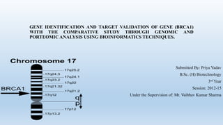 GENE IDENTIFICATION AND TARGET VALIDATION OF GENE (BRCA1)
WITH THE COMPARATIVE STUDY THROUGH GENOMIC AND
PORTEOMIC ANALYSIS USING BIOINFORMATICS TECHNIQUES.
Submitted By: Priya Yadav
B.Sc. (H) Biotechnology
3rd Year
Session: 2012-15
Under the Supervision of: Mr. Vaibhav Kumar Sharma
 