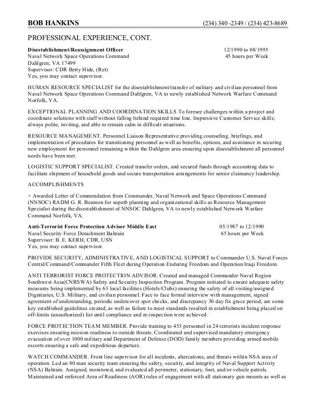 example federal resume