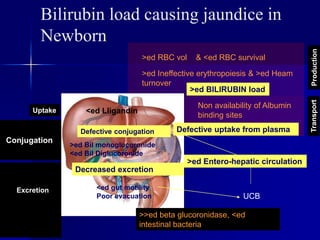 Bilirubin load causing jaundice in
Newborn
>ed RBC vol & <ed RBC survival
>ed Bil monoglucoronide
<ed Bil Diglucoronide
UCB
Production
Transport
Uptake
Excretion
Conjugation
>ed Ineffective erythropoiesis & >ed Heam
turnover
Non availability of Albumin
binding sites
Defective conjugation
<ed LIigandin
Decreased excretion
<ed gut motility
Poor evacuation
>>ed beta glucoronidase, <ed
intestinal bacteria
>ed BILIRUBIN load
Defective uptake from plasma
>ed Entero-hepatic circulation
 