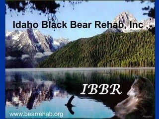 Idaho Black Bear Rehab, Inc.
www.bearrehab.org
 