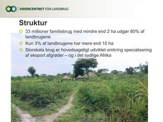 Struktur
 33 millioner familiebrug med mindre end 2 ha udgør 80% af
landbrugene
 Kun 3% af landbrugene har mere end 10 ha
 Storskala brug er hovedsageligt udviklet omkring specialisering
af eksport afgrøder – og i det sydlige Afrika
23. februar 201611...|
 